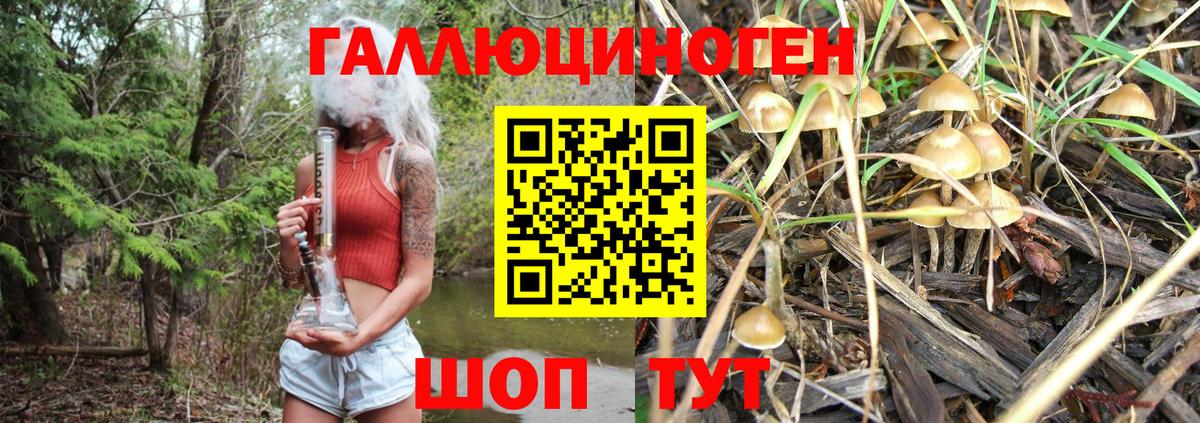 Галлюциногенные грибы Psilocybe  Вход с VPN  Чистополь 